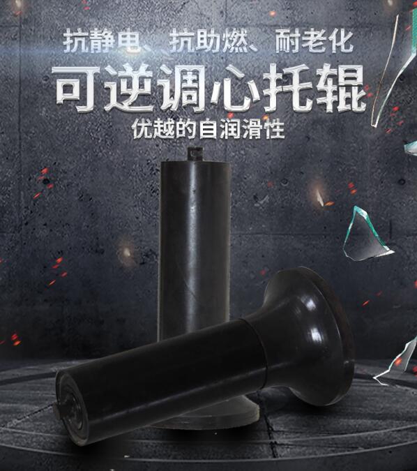 可逆调心托辊